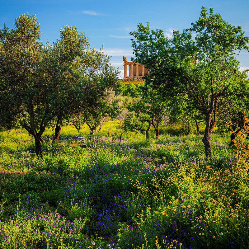 Agrigento photography workshop with Damien Demolder